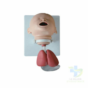 MODELE DE FORMATION DINTUBATION DU NOURRISSON-20052022-para-pharmacie-marrakech-1653065167