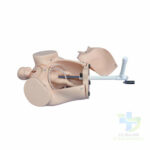 MODELE DE SIMULATION DE LACCOUCHEMENT-20052022-para-pharmacie-marrakech-1653065589