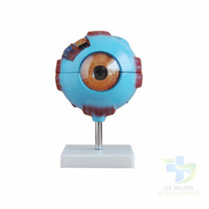 OEIL AGRANDI 6 FOIS 8 PIECES-20052022-para-pharmacie-marrakech-1653065921